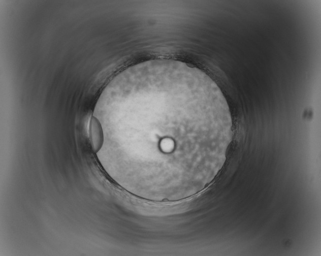 X0000115020047200911231300