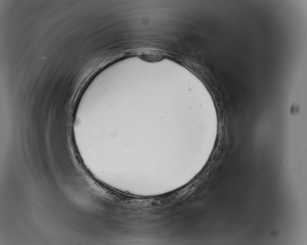 X0000115020049200911231259