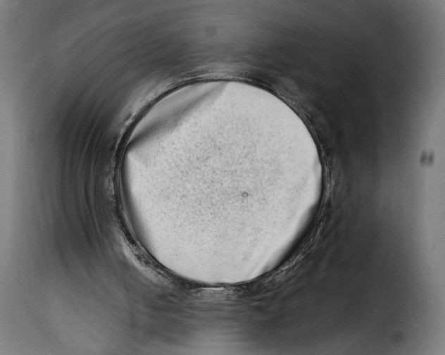 X0000115020050200911231259