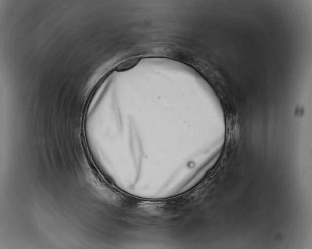 X0000115020051200911231259