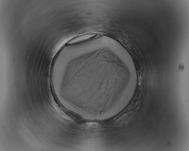 X0000115020052200911231259