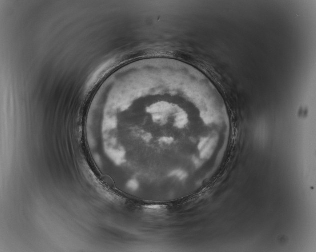 X0000115020053200911231259