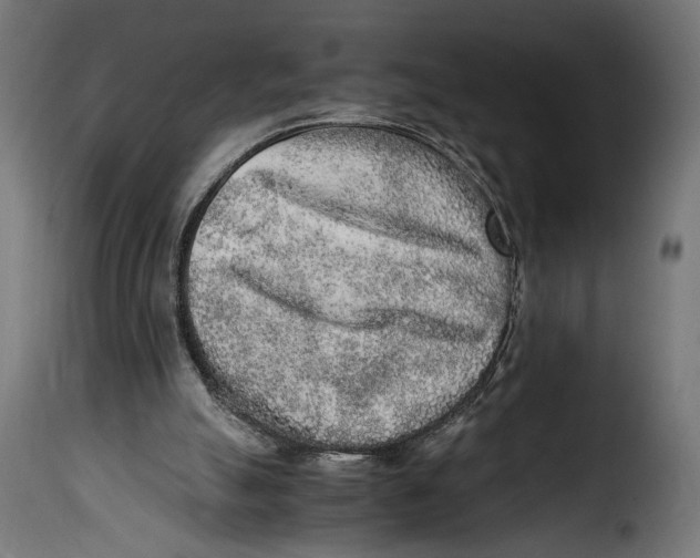 X0000115020055200911231259