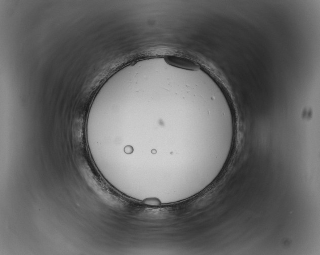 X0000115020057200911231259