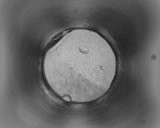 X0000115020058200911231300