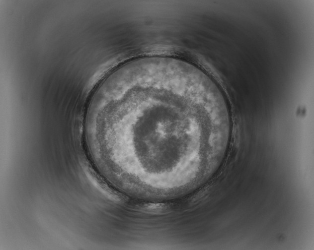 X0000115020059200911231300