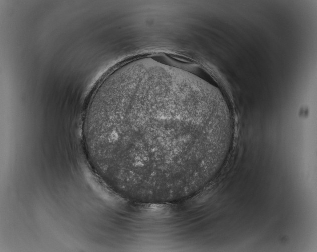 X0000115020060200911231300