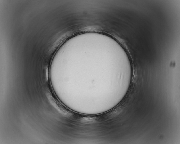 X0000115020061200911231300