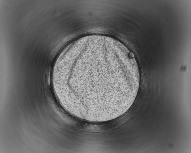 X0000115020062200911231300