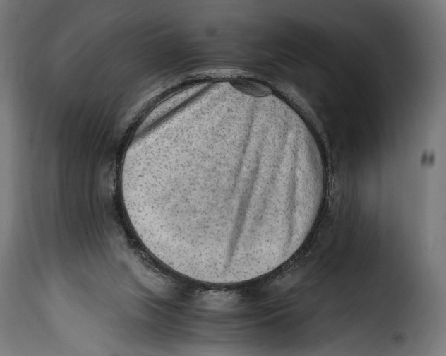 X0000115020063200911231300