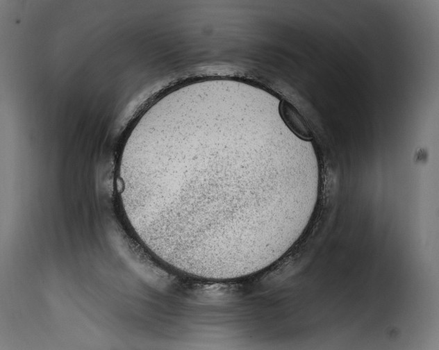 X0000115020064200911231300