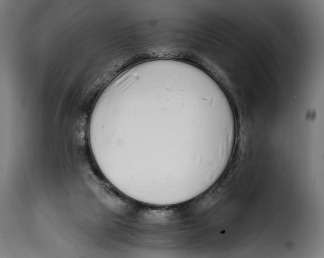 X0000115020065200911231300