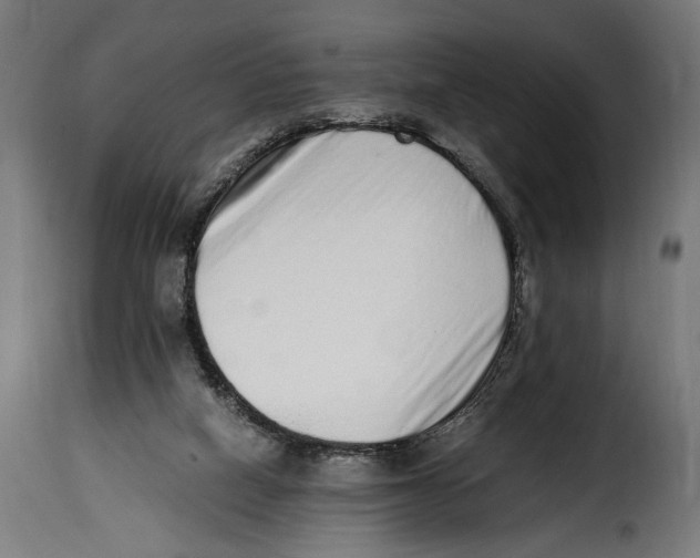 X0000115020066200911231300