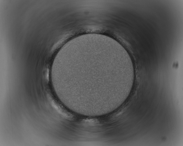 X0000115020067200911231300