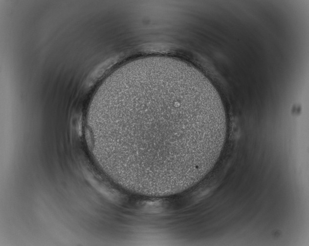 X0000115020068200911231300