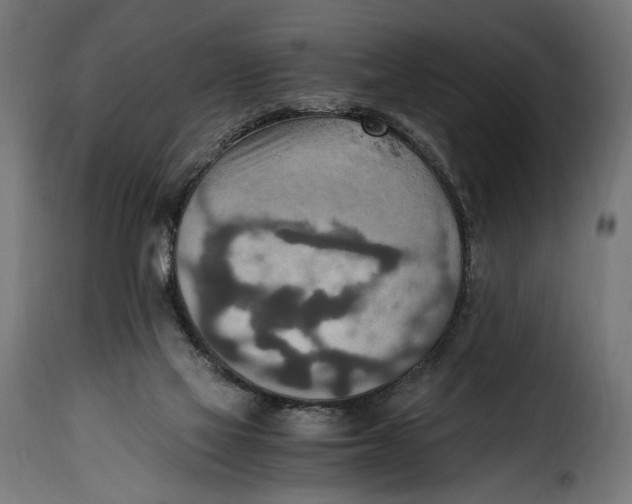 X0000115020069200911231300