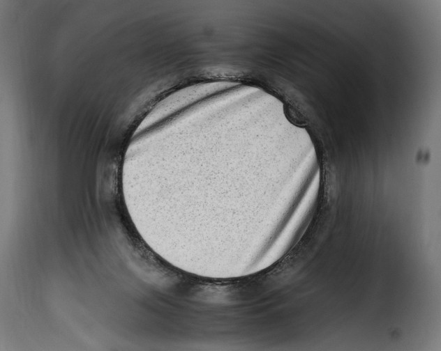 X0000115020071200911231300