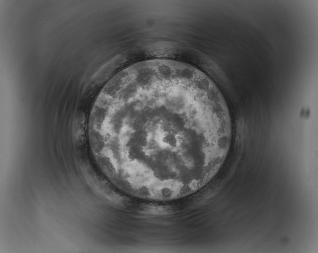 X0000115020073200911231300