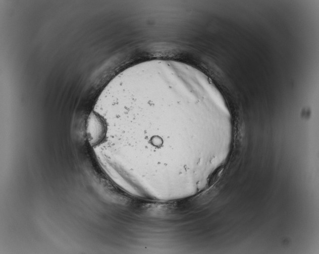 X0000115020074200911231300