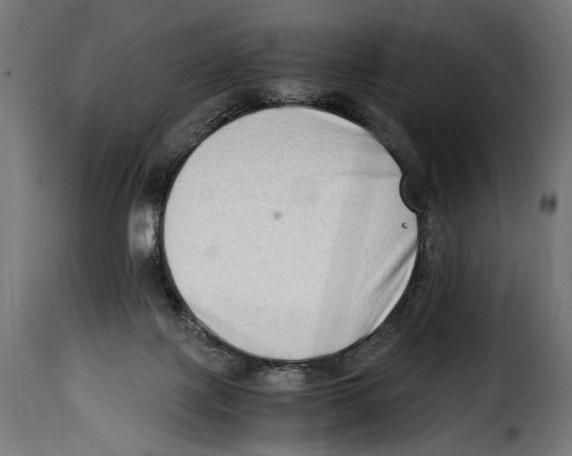 X0000115020075200911231300