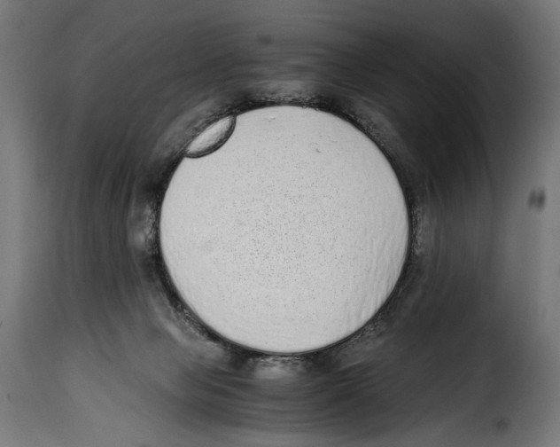 X0000115020077200911231300