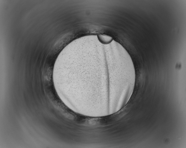 X0000115020078200911231300