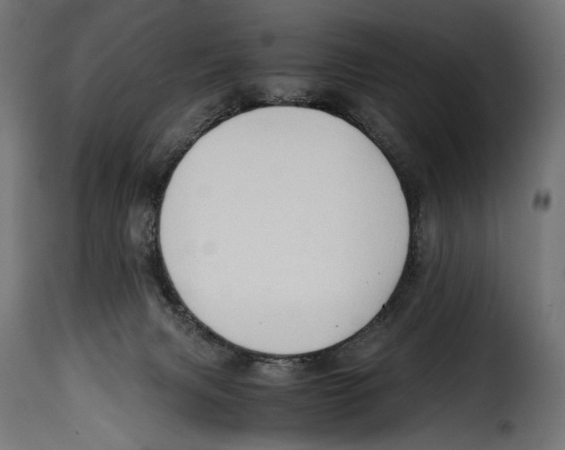 X0000115020079200911231300