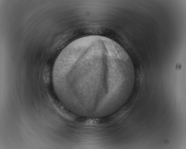 X0000115020080200911231300