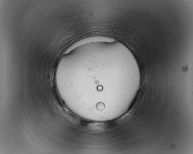 X0000115020082200911231300