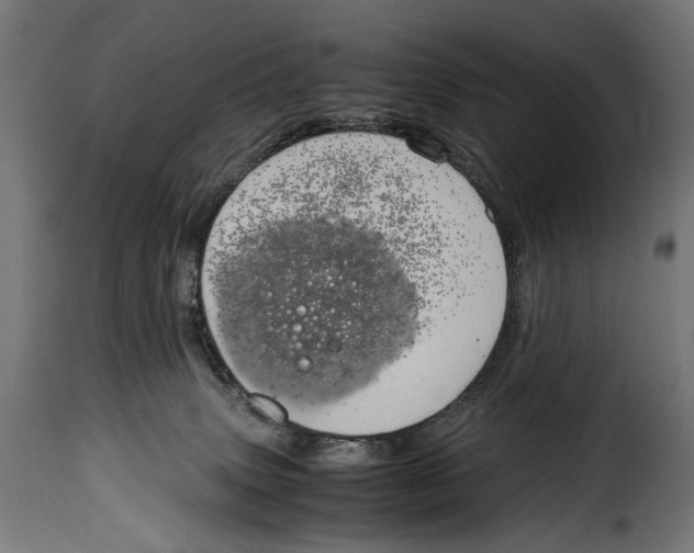 X0000115020083200911231300