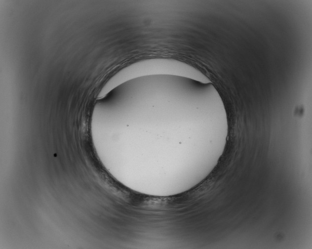 X0000115020084200911231300