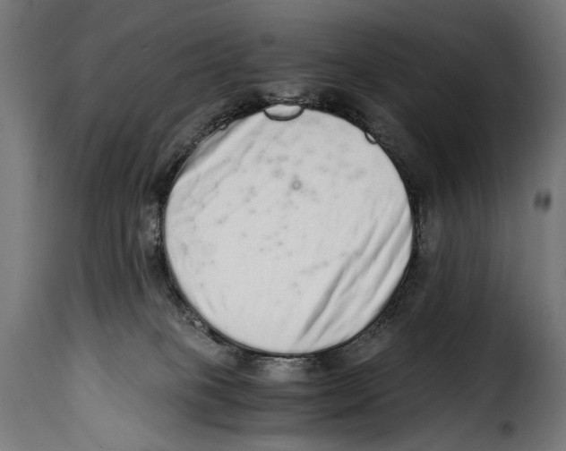 X0000115020085200911231300