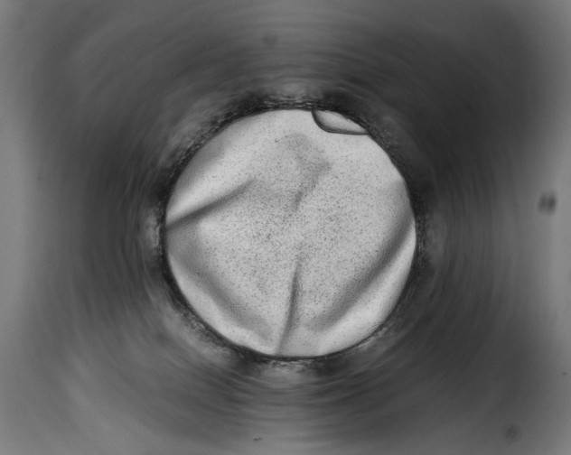 X0000115020086200911231300