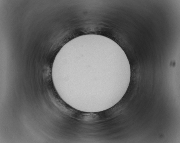 X0000115020087200911231300