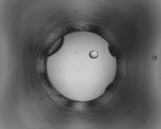 X0000115020088200911231300