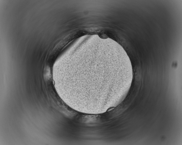 X0000115020089200911231300