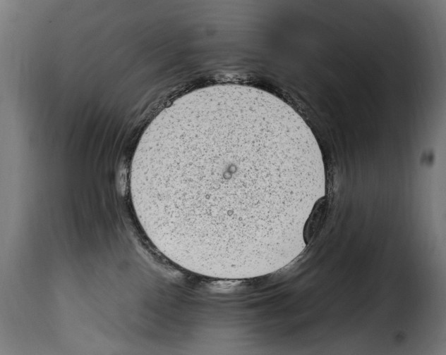 X0000115020090200911231300