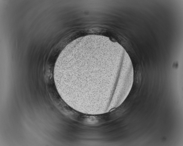 X0000115020091200911231300