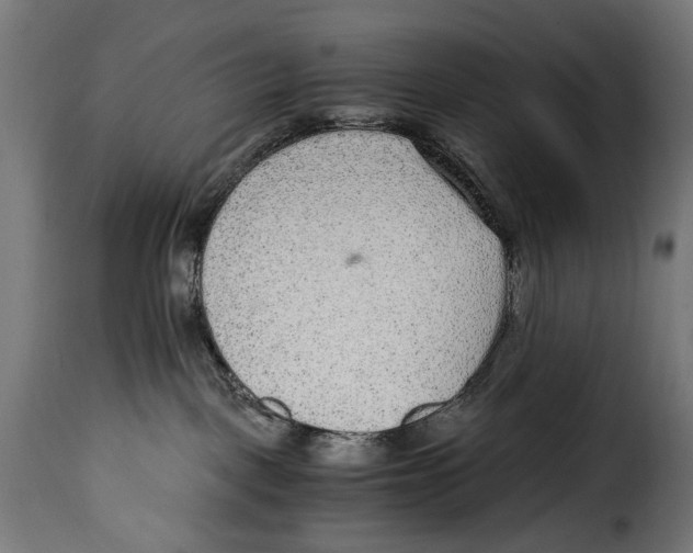 X0000115020093200911231300