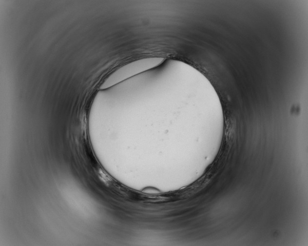 X0000115020095200911231300