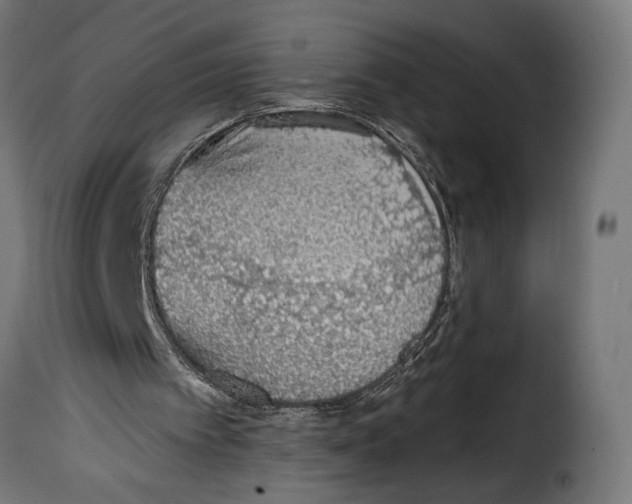 X0000115020097200911231259