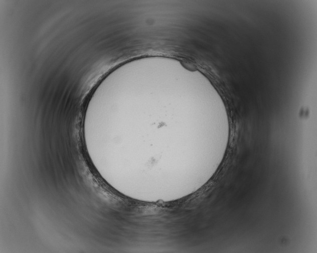 X0000115020098200911231259