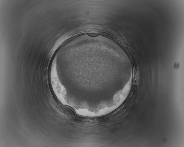 X0000115020099200911231259