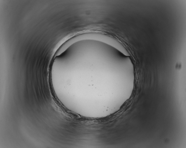 X0000115020100200911231259