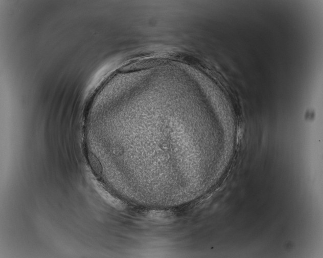 X0000115020101200911231259