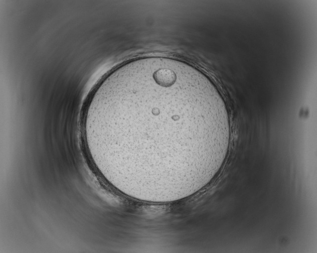 X0000115020102200911231259