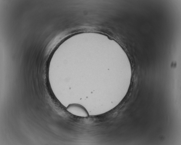 X0000115020103200911231259