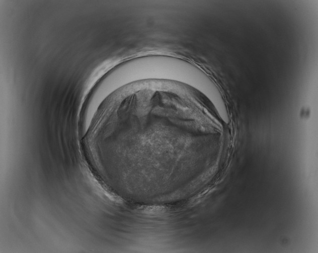 X0000115020104200911231259