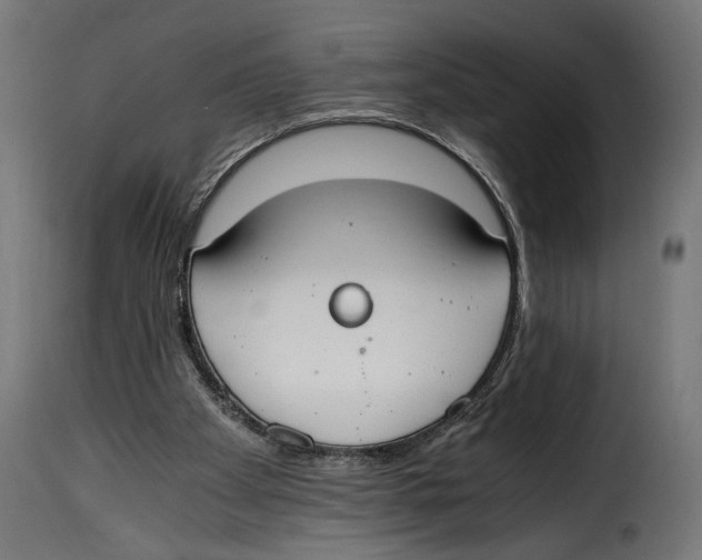 X0000115020105200911231259