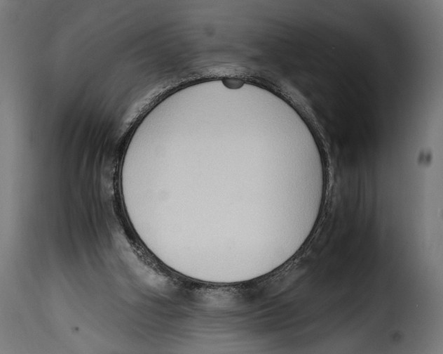 X0000115020106200911231259